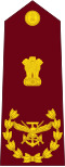 Chief of Defence Staff (CDS)